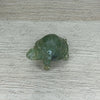Tortuga Jade Verde